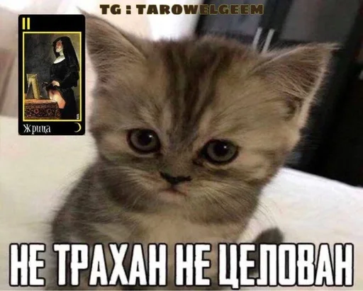  – стикер для Telegram