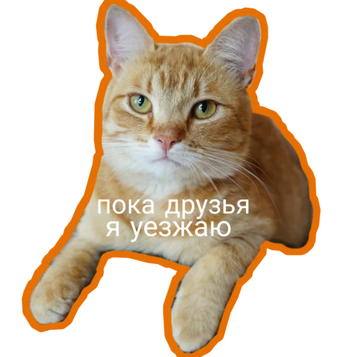  – стикер для Telegram