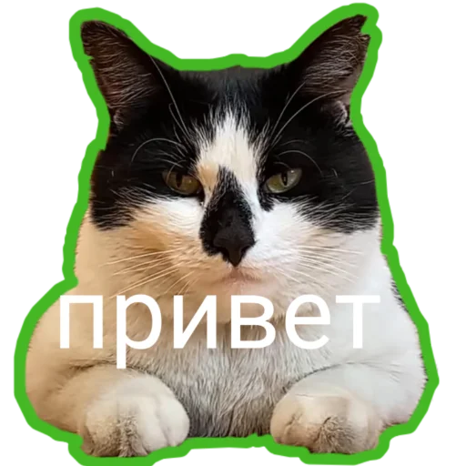  – стикер для Telegram