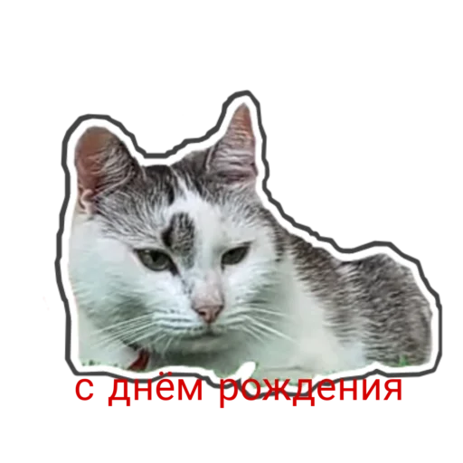  – стикер для Telegram