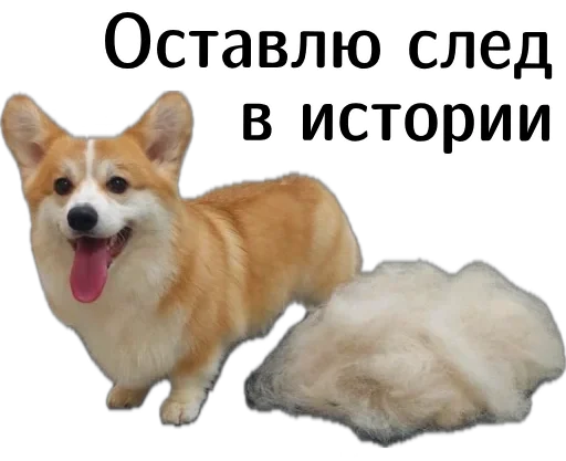  – стикер для Telegram