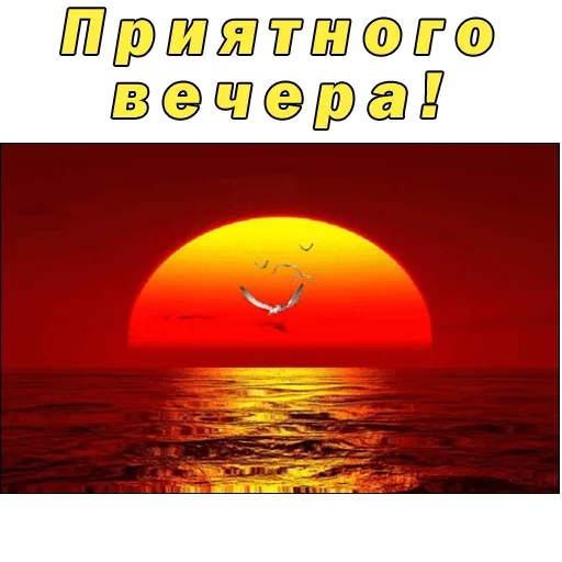  – стикер для Telegram