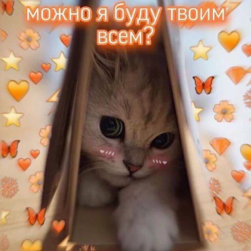  – стикер для Telegram