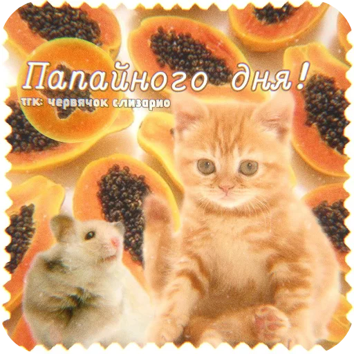  – стикер для Telegram