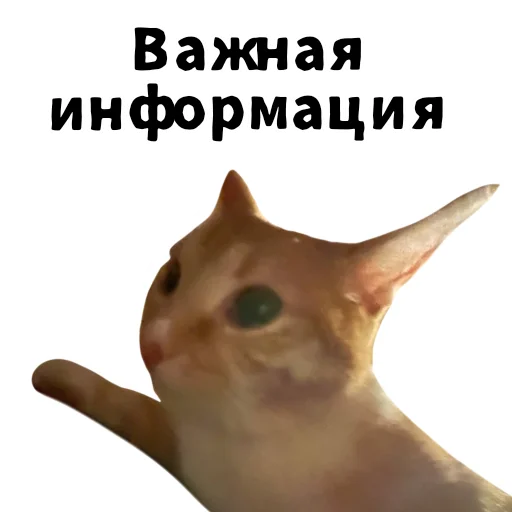  – стикер для Telegram