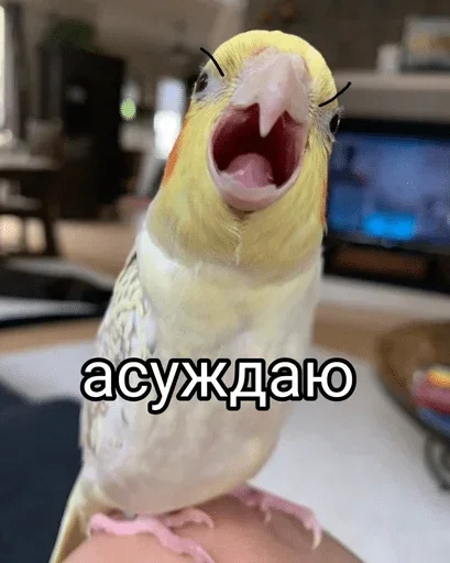  – стикер для Telegram