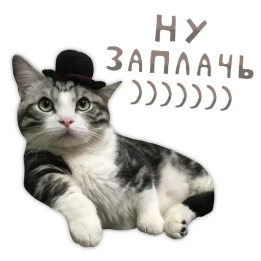  – стикер для Telegram