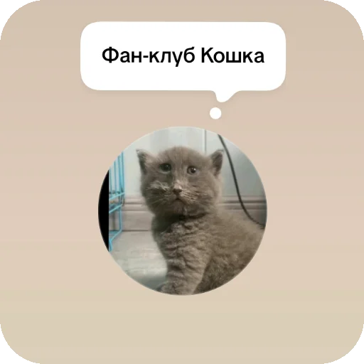  – стикер для Telegram