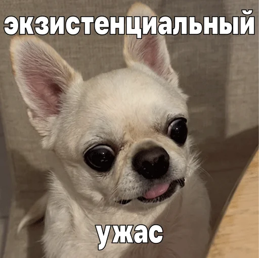  – стикер для Telegram