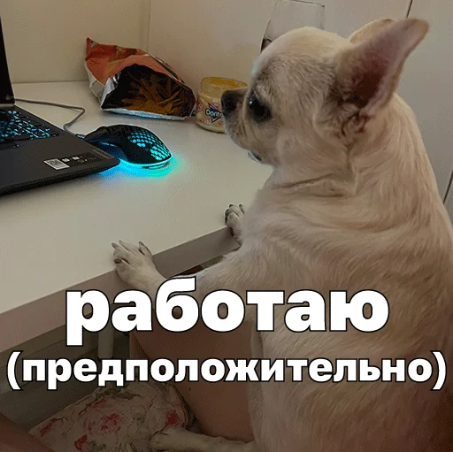  – стикер для Telegram
