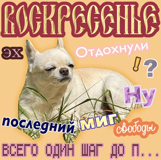 – стикер для Telegram