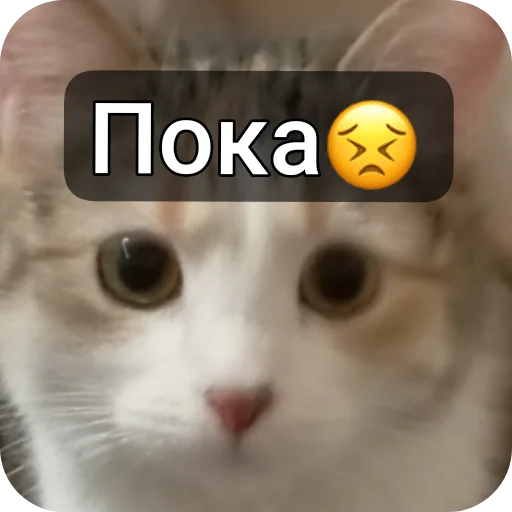  – стикер для Telegram