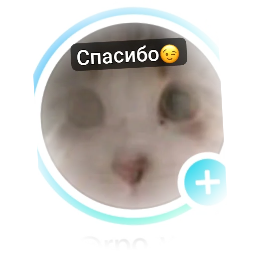  – стикер для Telegram
