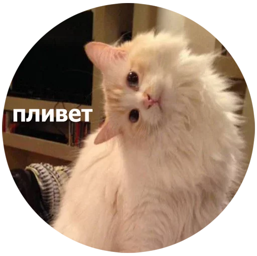  – стикер для Telegram