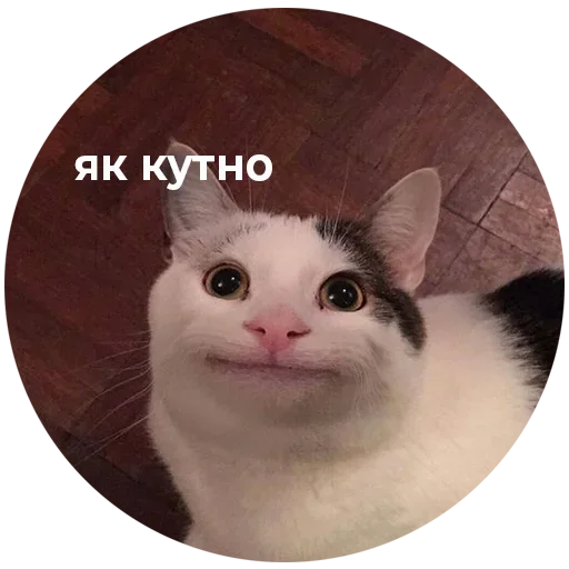  – стикер для Telegram