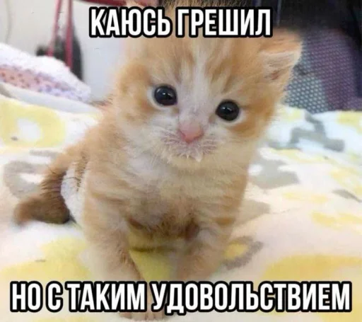  – стикер для Telegram
