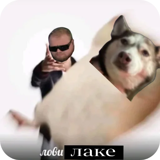  – стикер для Telegram
