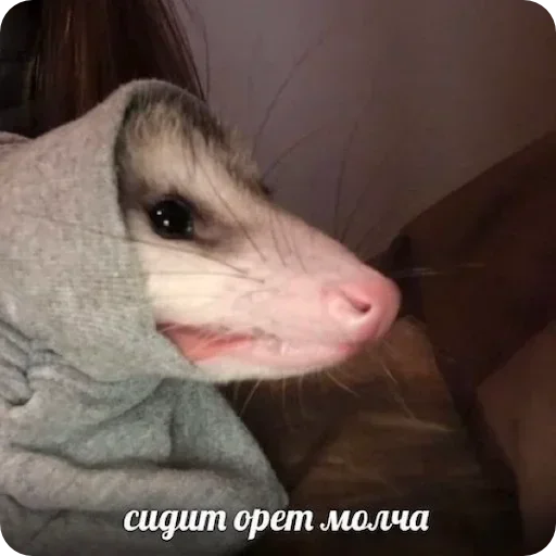 – стикер для Telegram