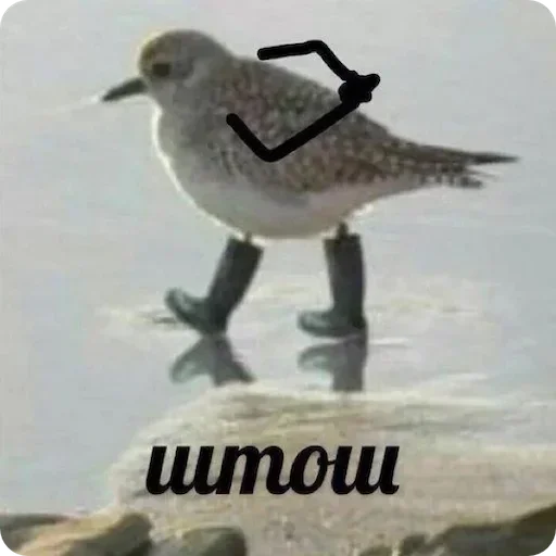  – стикер для Telegram
