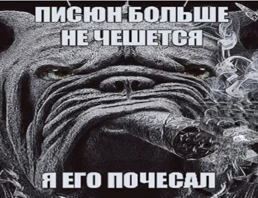 – стикер для Telegram