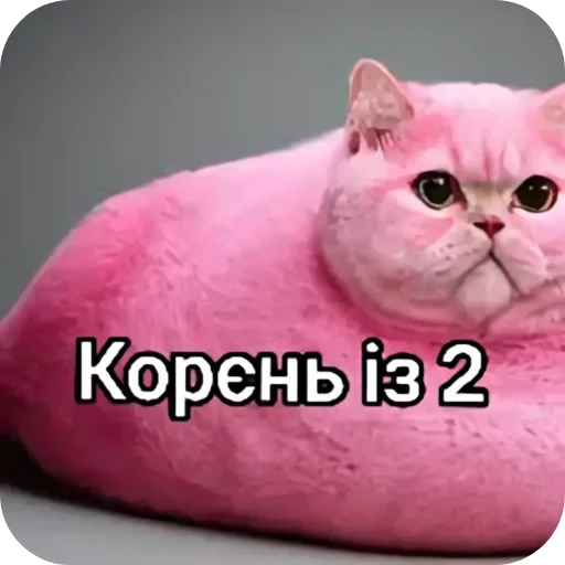  – стикер для Telegram