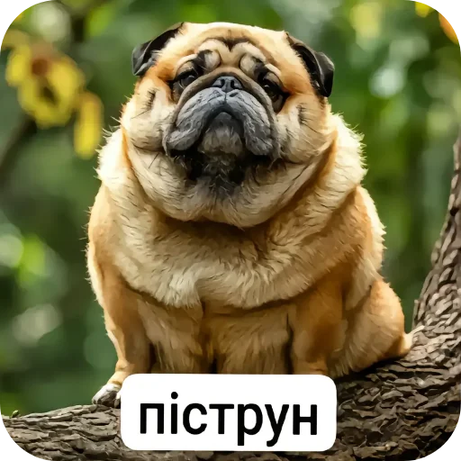  – стикер для Telegram