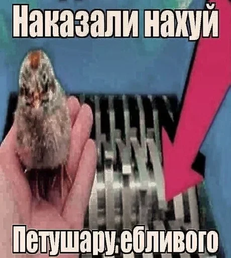  – стикер для Telegram