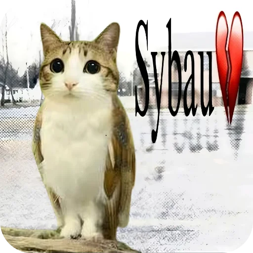  – стикер для Telegram
