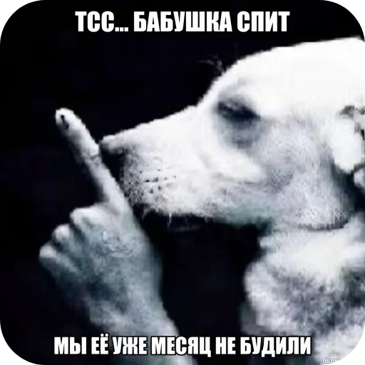  – стикер для Telegram