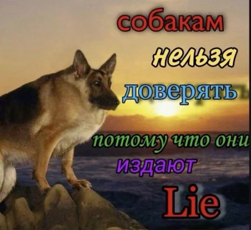  – стикер для Telegram
