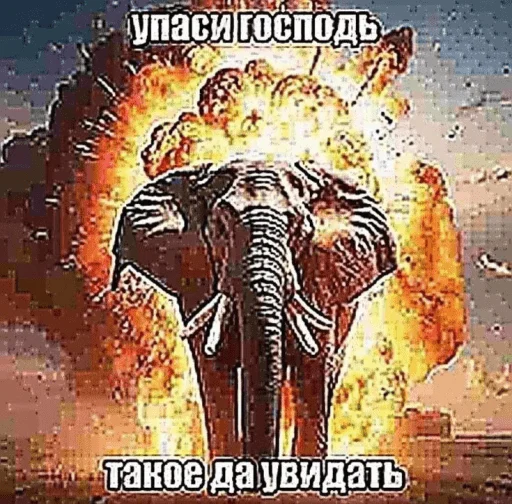  – стикер для Telegram