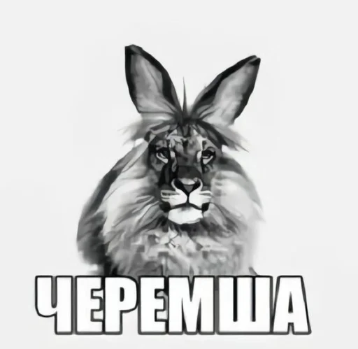  – стикер для Telegram