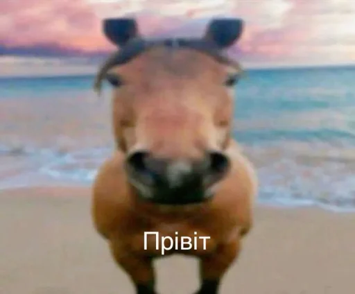  – стикер для Telegram