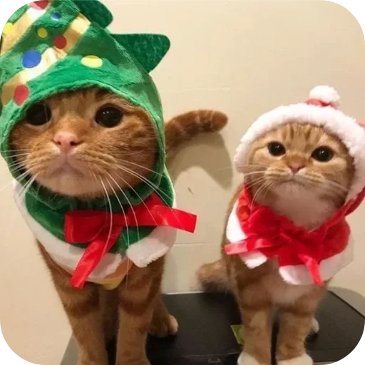 Больше стиков тут: