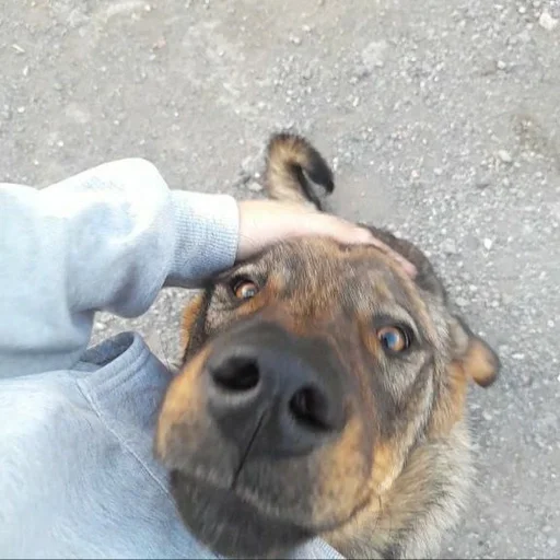 Ахуеть не встать ::