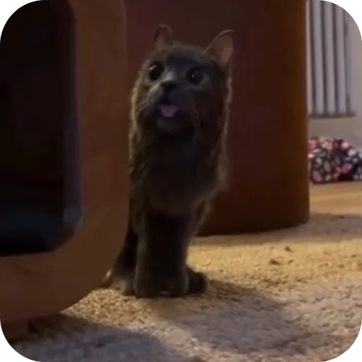 T-REX by dedmacksim fedot