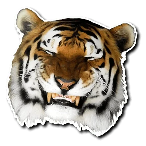Tiger Tiger