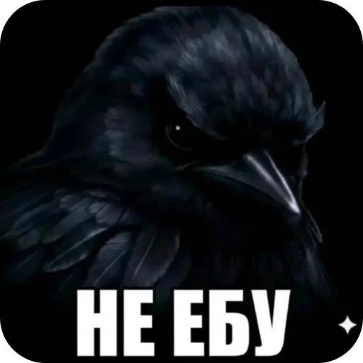 Стикеры димы