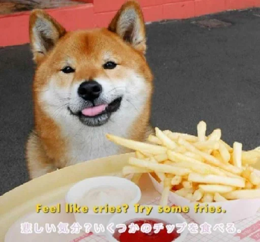 🍟