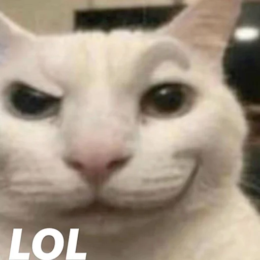 🦐Крутые стикеры