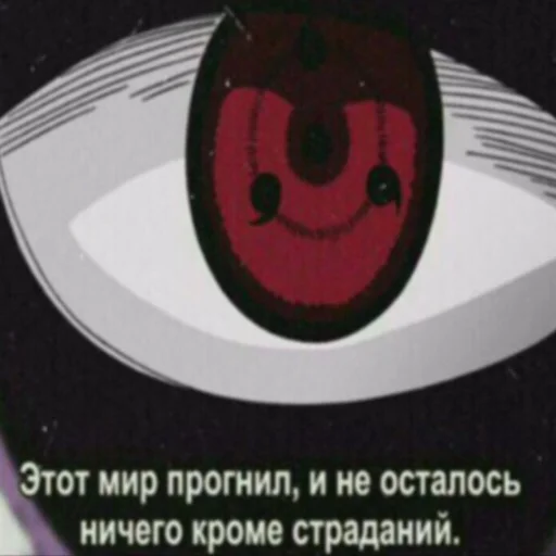 саске аморалити пак