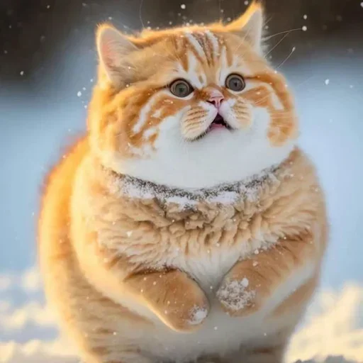 Больше стиков тут: