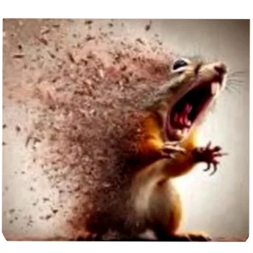 соси жопу❤️‍🩹