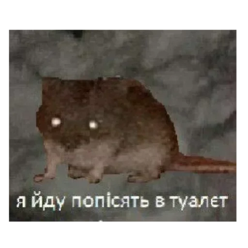 Больше стиков тут: