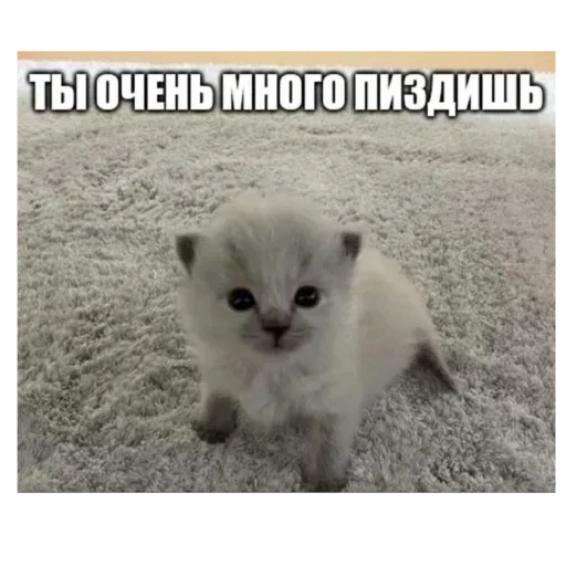 Больше стиков тут: