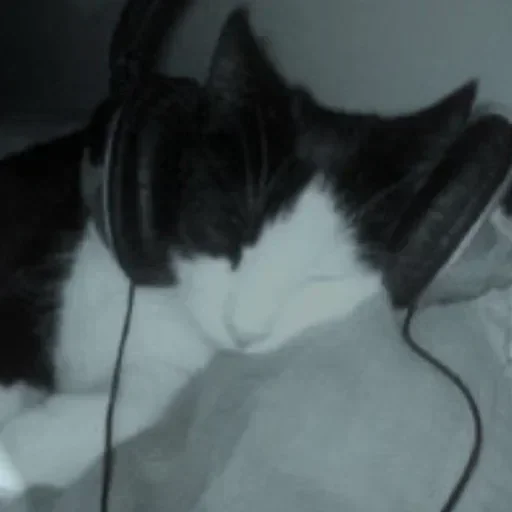Стикер 😴 из набора Больше стиков тут: