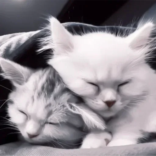 Стикер 🖤 из набора Больше стиков тут: