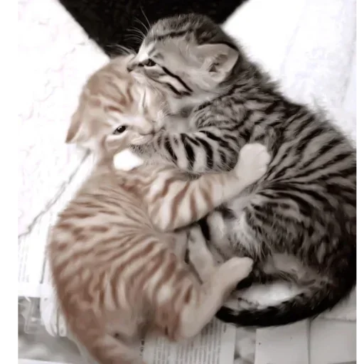 Стикер 😴 из набора Больше стиков тут: