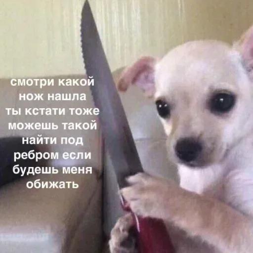Стикер ☠️ из набора Больше стиков тут: