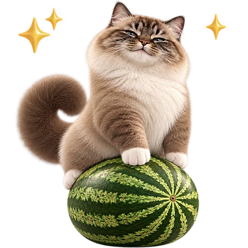 Стикер 😼 из набора Кот на арбузе